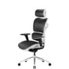 Ergonominė kėdė Diablo V-Commander, tinklas, juodas/baltas