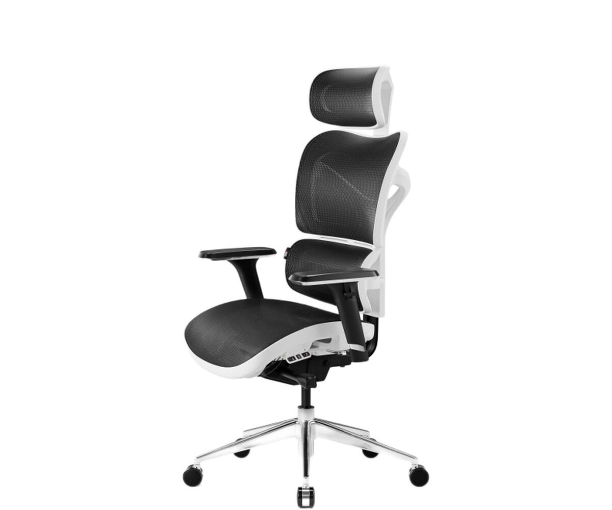 Ergonominė kėdė Diablo V-Commander, tinklas, juodas/baltas