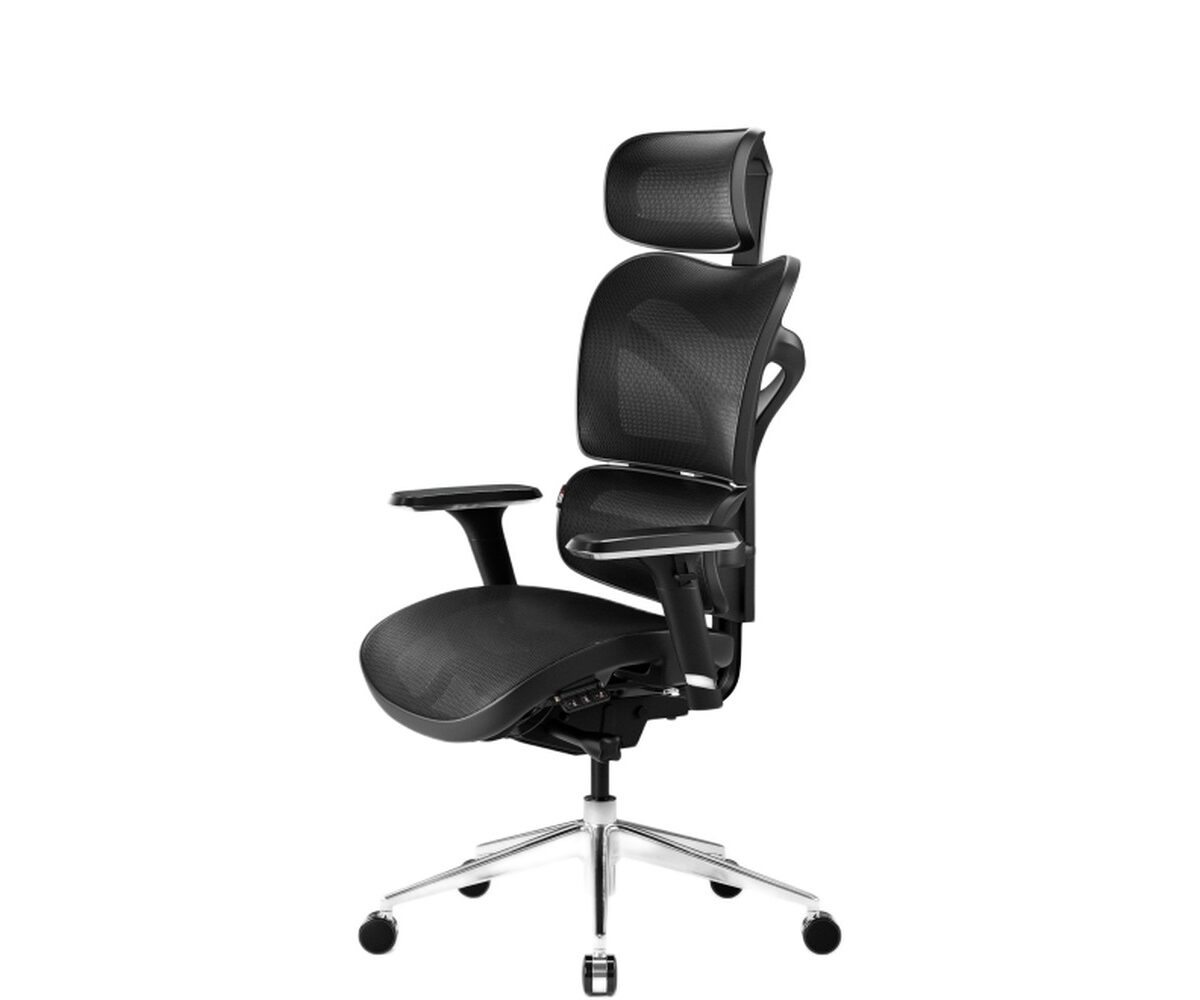 Ergonominė kėdė Diablo V-Commander, tinklas, juodas