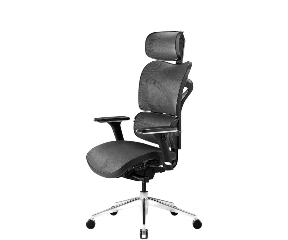 Ergonominė kėdė Diablo V-Commander, tinklas, antracitas
